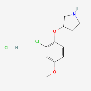 molecular formula C11H15Cl2NO2 B1424576 2-Chloro-4-methoxyphenyl 3-pyrrolidinyl ether hydrochloride CAS No. 1220031-02-6