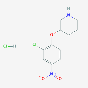 molecular formula C11H14Cl2N2O3 B1424579 3-(2-Chloro-4-nitrophenoxy)piperidine hydrochloride CAS No. 1219957-02-4
