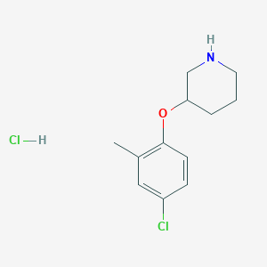 molecular formula C12H17Cl2NO B1424595 3-(4-Chloro-2-methylphenoxy)piperidine hydrochloride CAS No. 1219968-07-6