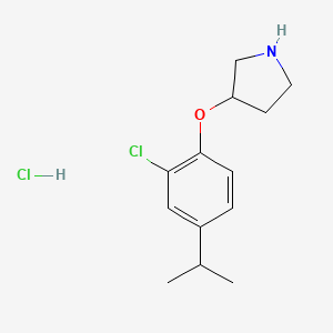 molecular formula C13H19Cl2NO B1424609 3-(2-Chloro-4-isopropylphenoxy)pyrrolidine hydrochloride CAS No. 1220018-60-9
