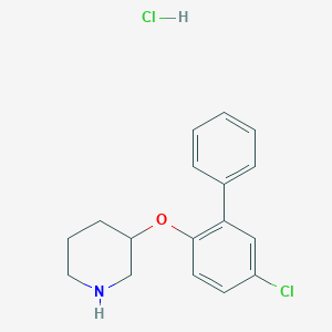 molecular formula C17H19Cl2NO B1424611 5-Chloro[1,1'-biphenyl]-2-yl 3-piperidinyl ether hydrochloride CAS No. 1219972-24-3