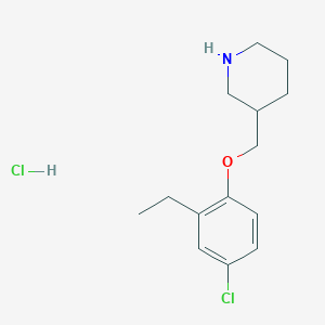 molecular formula C14H21Cl2NO B1424612 3-[(4-Chloro-2-ethylphenoxy)methyl]piperidine hydrochloride CAS No. 1220028-12-5