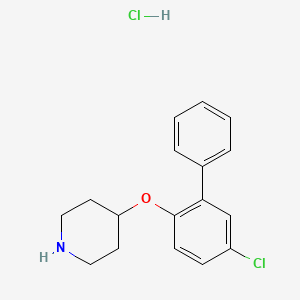molecular formula C17H19Cl2NO B1424613 5-Chloro[1,1'-biphenyl]-2-yl 4-piperidinyl ether hydrochloride CAS No. 1219979-12-0