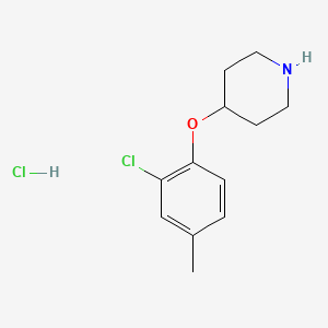 molecular formula C12H17Cl2NO B1424619 4-(2-Chloro-4-methylphenoxy)piperidine hydrochloride CAS No. 1220035-73-3