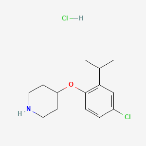 molecular formula C14H21Cl2NO B1424622 4-(4-Chloro-2-isopropylphenoxy)piperidine hydrochloride CAS No. 1220020-13-2