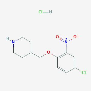 molecular formula C12H16Cl2N2O3 B1424631 4-[(4-Chloro-2-nitrophenoxy)methyl]piperidine hydrochloride CAS No. 1220032-98-3