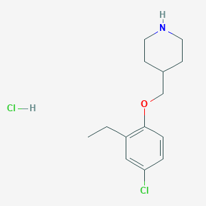 molecular formula C14H21Cl2NO B1424645 4-[(4-Chloro-2-ethylphenoxy)methyl]piperidine hydrochloride CAS No. 1220019-11-3