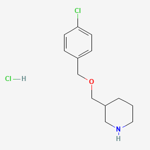 molecular formula C13H19Cl2NO B1424646 3-(4-Chloro-benzyloxymethyl)-piperidine hydrochloride CAS No. 1220037-01-3