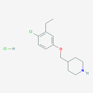 molecular formula C14H21Cl2NO B1424652 4-((4-Chloro-3-ethylphenoxy)methyl)piperidine hydrochloride CAS No. 1219979-90-4