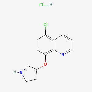 molecular formula C13H14Cl2N2O B1424653 5-Chloro-8-(3-pyrrolidinyloxy)quinoline hydrochloride CAS No. 1220028-30-7