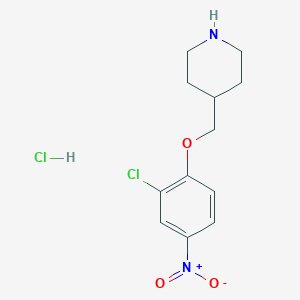 molecular formula C12H16Cl2N2O3 B1424711 4-((2-Chloro-4-nitrophenoxy)methyl)piperidine hydrochloride CAS No. 1220016-48-7
