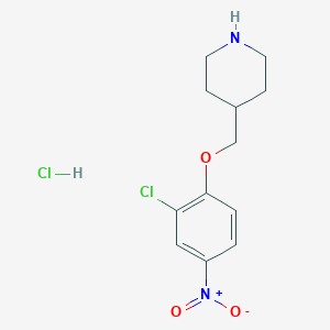 4-[(2-Chloro-4-nitrophenoxy)methyl]piperidine hydrochloride