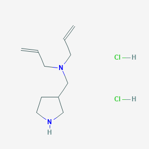 molecular formula C11H21ClN2 B1424735 n-Allyl-n-(3-pyrrolidinylmethyl)-2-propen-1-amine dihydrochloride CAS No. 1219960-32-3