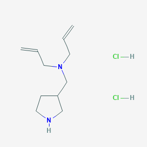 n-Allyl-n-(3-pyrrolidinylmethyl)-2-propen-1-amine dihydrochloride