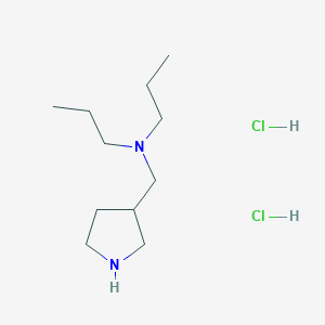 molecular formula C11H26Cl2N2 B1424747 N-Propyl-N-(pyrrolidin-3-ylmethyl)propan-1-amine dihydrochloride CAS No. 1219964-46-1