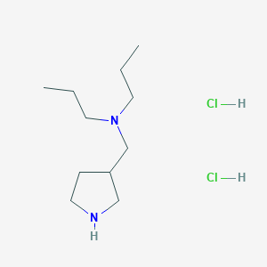 n-Propyl-n-(3-pyrrolidinylmethyl)-1-propanamine dihydrochloride
