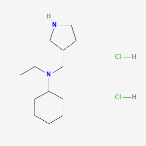 molecular formula C13H28Cl2N2 B1424755 N-ethyl-N-(pyrrolidin-3-ylmethyl)cyclohexanamine dihydrochloride CAS No. 1219964-23-4