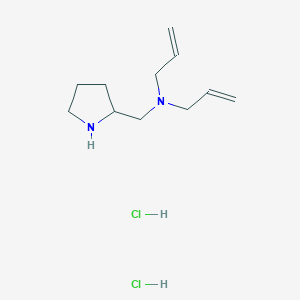 molecular formula C11H22Cl2N2 B1424784 n-Allyl-n-(2-pyrrolidinylmethyl)-2-propen-1-amine dihydrochloride CAS No. 1219964-65-4