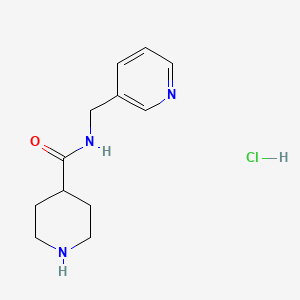 molecular formula C12H18ClN3O B1424818 N-(pyridin-3-ylmethyl)piperidine-4-carboxamide hydrochloride CAS No. 1220035-36-8