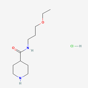 molecular formula C11H23ClN2O2 B1424825 N-(3-乙氧基丙基)-4-哌啶甲酰胺盐酸盐 CAS No. 1220030-38-5