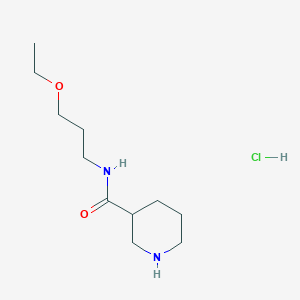 N-(3-Ethoxypropyl)-3-piperidinecarboxamide hydrochloride