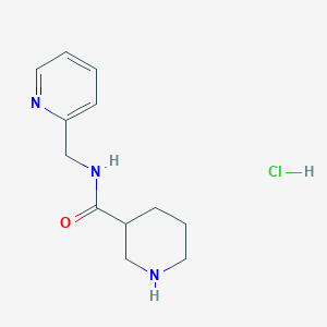 N-(pyridin-2-ylmethyl)piperidine-3-carboxamide hydrochloride