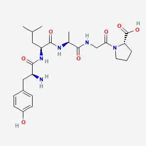 molecular formula C25H37N5O7 B14248601 L-Proline, L-tyrosyl-L-leucyl-L-alanylglycyl- CAS No. 435269-58-2