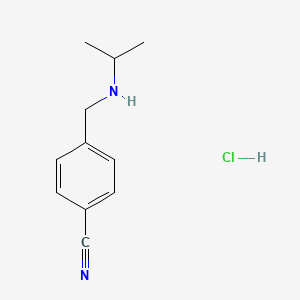 molecular formula C11H15ClN2 B1424881 4-{[(丙烷-2-基)氨基]甲基}苯甲腈盐酸盐 CAS No. 1251923-99-5