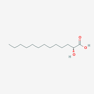 molecular formula C13H26O3 B14249748 Tridecanoic acid, 2-hydroxy-, (2R)- CAS No. 405552-38-7
