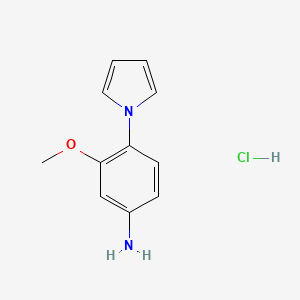 molecular formula C11H13ClN2O B1425092 3-methoxy-4-(1H-pyrrol-1-yl)aniline hydrochloride CAS No. 1279219-16-7