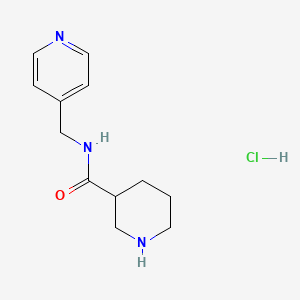 molecular formula C12H18ClN3O B1425115 N-(4-Pyridinylmethyl)-3-piperidinecarboxamide hydrochloride CAS No. 1220035-43-7