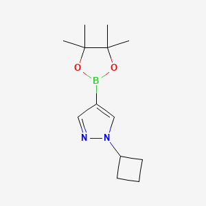 molecular formula C13H21BN2O2 B1425135 1-Cyclobutyl-4-(4,4,5,5-tetramethyl-1,3,2-dioxaborolan-2-yl)-1H-pyrazole CAS No. 1002309-48-9