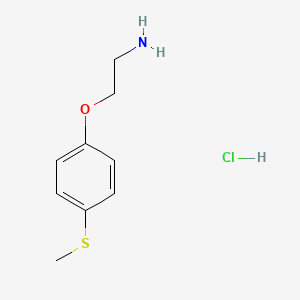 molecular formula C9H14ClNOS B1425234 (2-[4-(Methylthio)phenoxy]ethyl)amine hydrochloride CAS No. 1211477-99-4