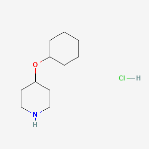 molecular formula C11H22ClNO B1425278 4-(Cyclohexyloxy)piperidine hydrochloride CAS No. 1189551-80-1