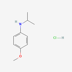 molecular formula C10H16ClNO B1425279 4-methoxy-N-(propan-2-yl)aniline hydrochloride CAS No. 1240529-20-7