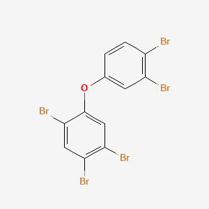 molecular formula C12H5Br5O B1425443 2,3',4,4',5-Pentabromodiphenyl ether CAS No. 446254-80-4
