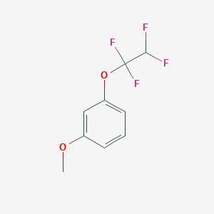 molecular formula C9H8F4O2 B14257622 1-Methoxy-3-(1,1,2,2-tetrafluoroethoxy)benzene CAS No. 478282-30-3