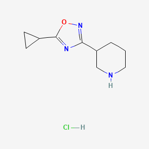molecular formula C10H16ClN3O B1425913 3-(5-Cyclopropyl-1,2,4-oxadiazol-3-yl)piperidine hydrochloride CAS No. 1375474-26-2