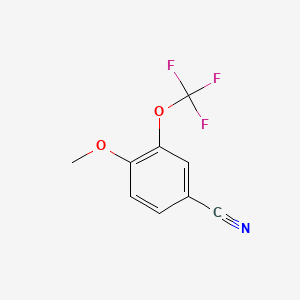 molecular formula C9H6F3NO2 B1425926 4-Methoxy-3-(trifluoromethoxy)benzonitrile CAS No. 1261653-03-5