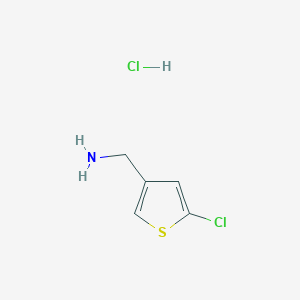 molecular formula C5H7Cl2NS B1426076 (5-Chlorothiophen-3-yl)methanamine hydrochloride CAS No. 1108712-55-5