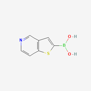 molecular formula C7H6BNO2S B1426103 Thieno[3,2-c]pyridin-2-ylboronic acid CAS No. 568582-98-9
