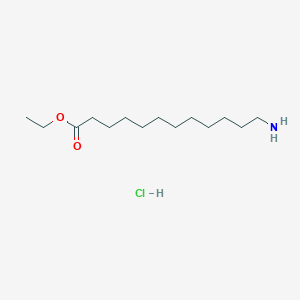molecular formula C14H30ClNO2 B1426178 Ethyl 12-aminododecanoate hydrochloride CAS No. 84636-23-7