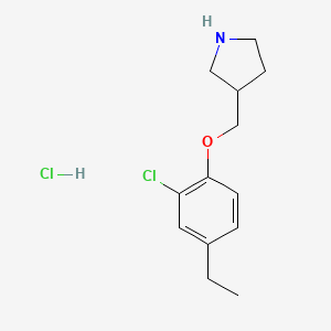 molecular formula C13H19Cl2NO B1426304 3-((2-Chloro-4-ethylphenoxy)methyl)pyrrolidine hydrochloride CAS No. 1220039-13-3