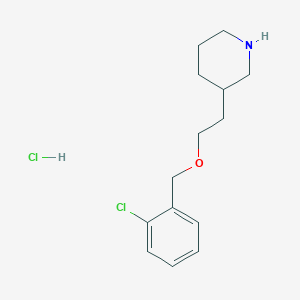 3-{2-[(2-Chlorobenzyl)oxy]ethyl}piperidine hydrochloride
