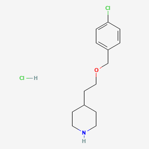 molecular formula C14H21Cl2NO B1426334 4-{2-[(4-Chlorobenzyl)oxy]ethyl}piperidine hydrochloride CAS No. 1219968-01-0