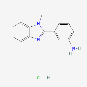 molecular formula C14H14ClN3 B1426346 3-(1-methyl-1H-1,3-benzodiazol-2-yl)aniline hydrochloride CAS No. 1354952-03-6