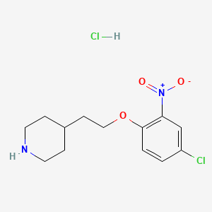 molecular formula C13H18Cl2N2O3 B1426349 4-[2-(4-Chloro-2-nitrophenoxy)ethyl]piperidine hydrochloride CAS No. 1220031-22-0