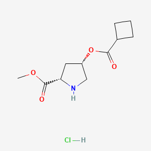 molecular formula C11H18ClNO4 B1426351 Methyl (2S,4S)-4-[(cyclobutylcarbonyl)oxy]-2-pyrrolidinecarboxylate hydrochloride CAS No. 1354487-94-7