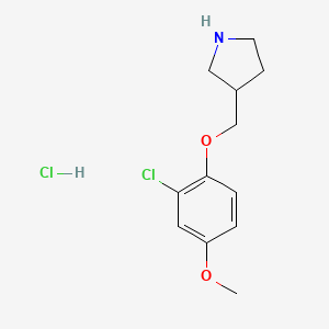molecular formula C12H17Cl2NO2 B1426352 3-[(2-氯-4-甲氧基苯氧基)甲基]吡咯啉盐酸盐 CAS No. 1219979-47-1