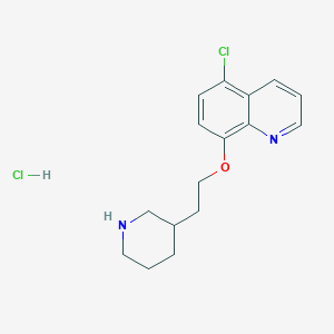 molecular formula C16H20Cl2N2O B1426354 5-氯-8-喹啉基 2-(3-哌啶基)乙基醚盐酸盐 CAS No. 1220017-38-8